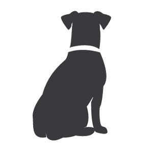 Naked Dog avatar image